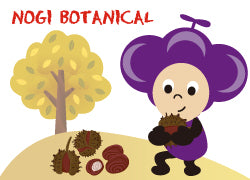 ノギボタニカルNOGI BOTANICAL